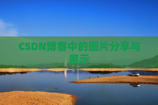 CSDN博客中的图片分享与展示